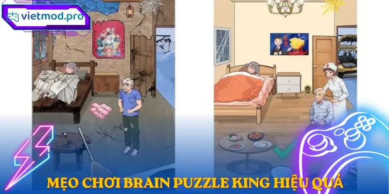brain-puzzle-king-meo-choi