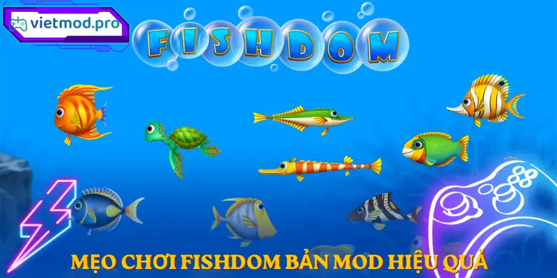 fishdom-meo-choi