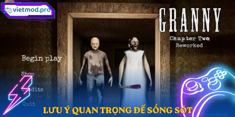 granny-luu-y