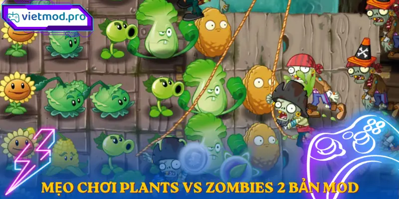 plants-vs-zombies-2-meo-choi